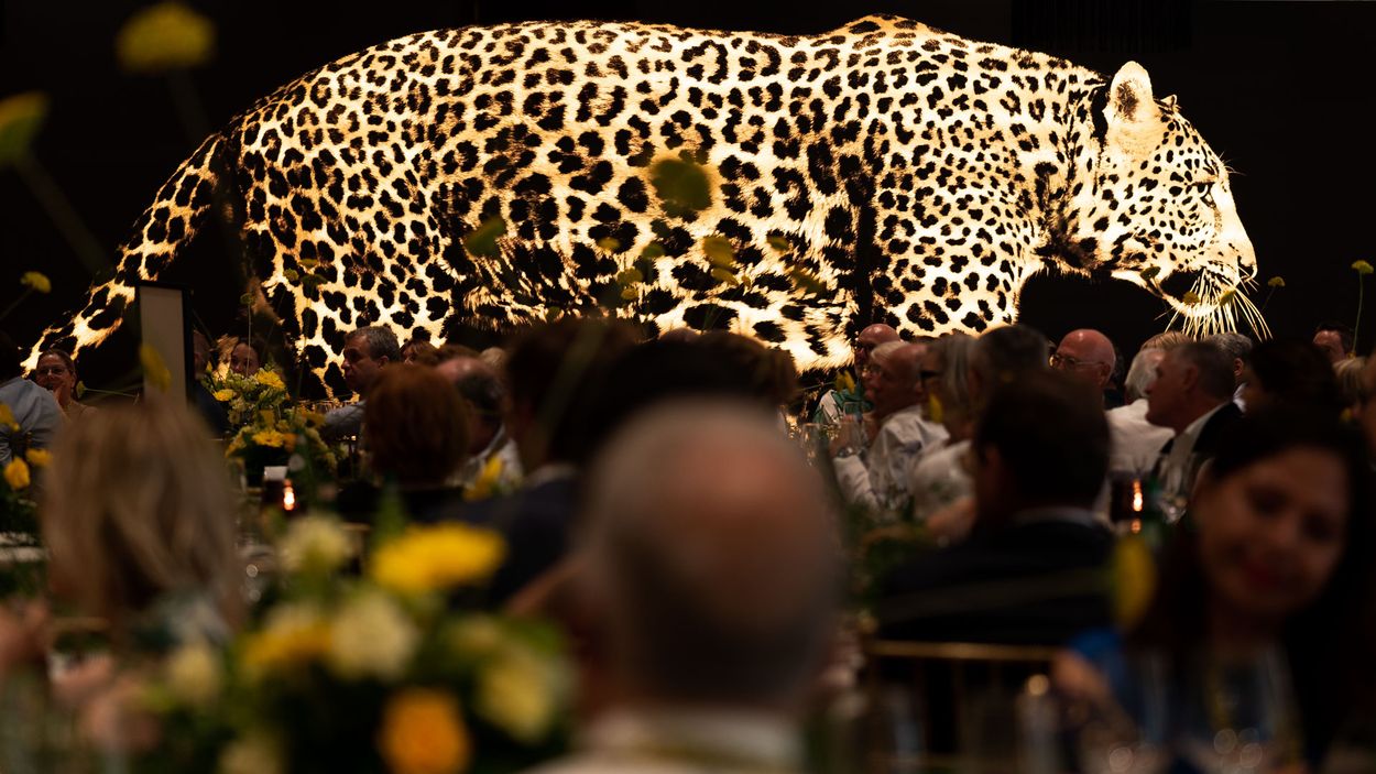 Locarno Film Festival 2026 at Locarno