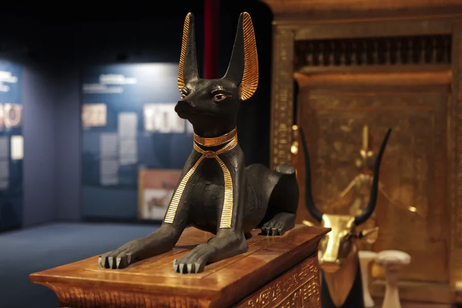 Treasures of Tutankhamun at DIVE, Antwerp