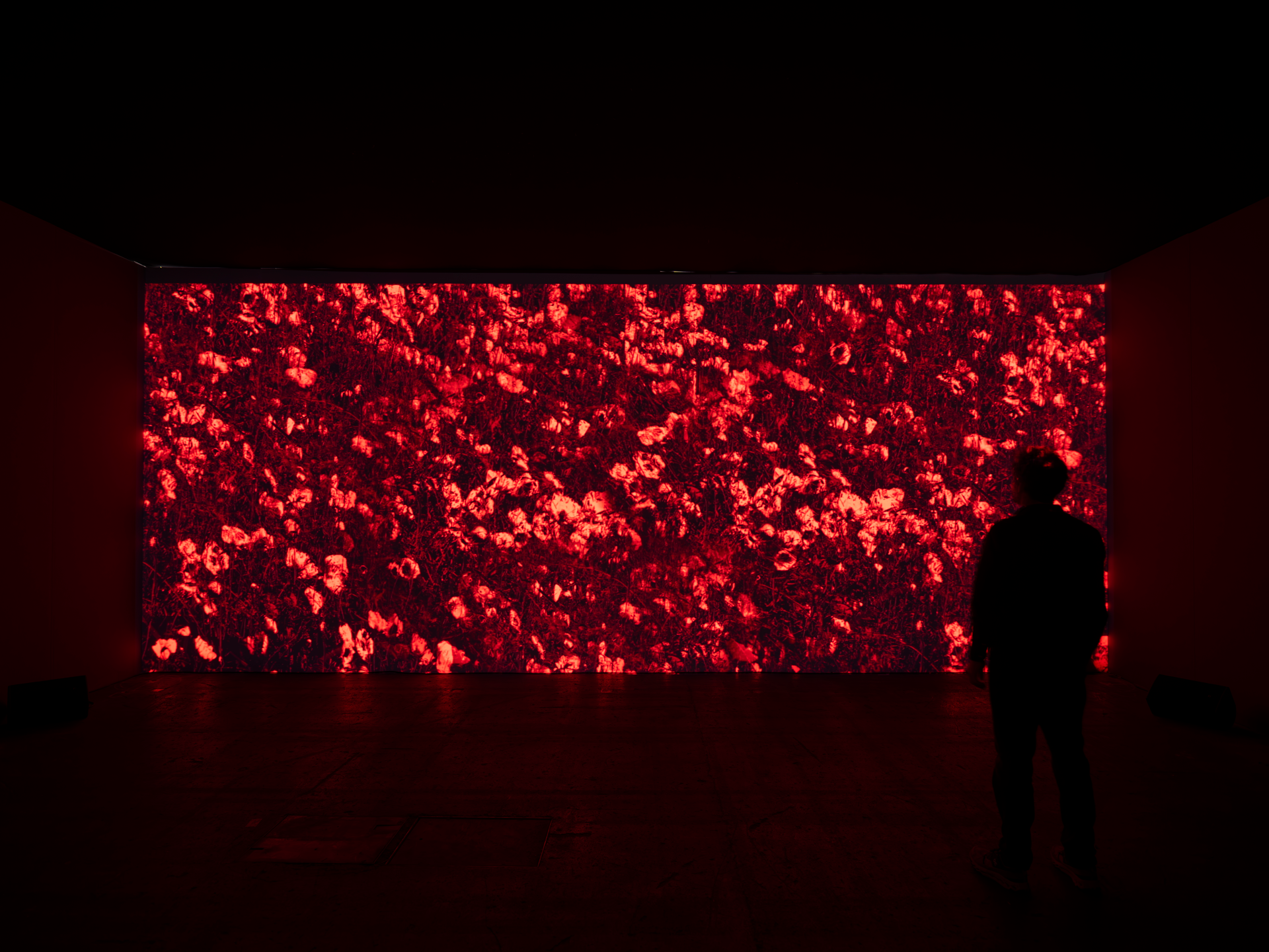 Art Genève 2027 at Palexpo, Route François-Peyrot 30, Geneva
