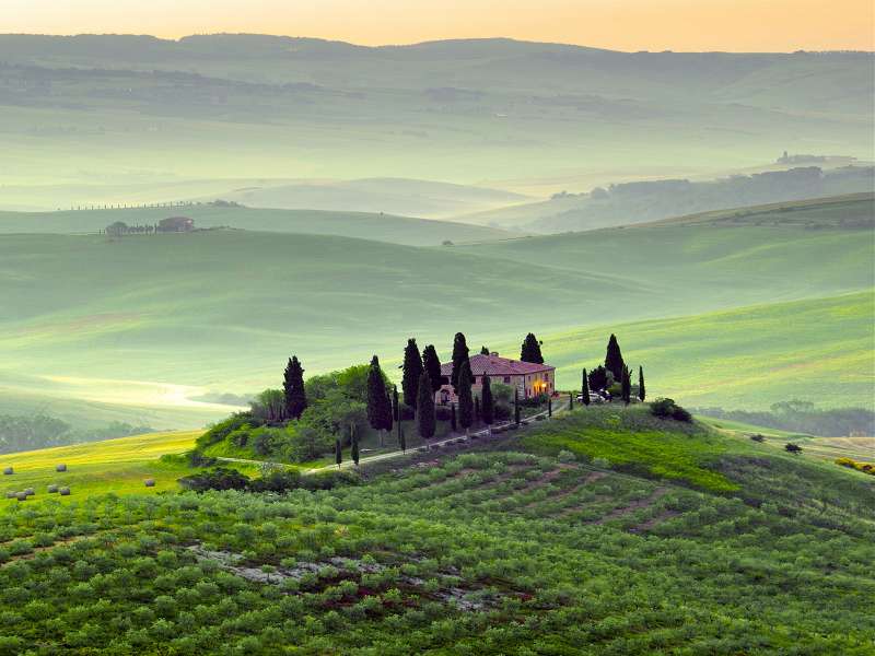 Savor the Dolce Vita: Top Retreats in Chianti for Gourmet and Wellness Bliss