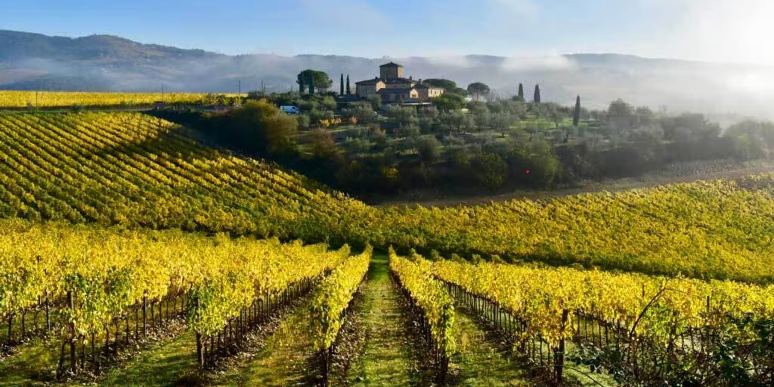 Chianti wine and gastronomy experience