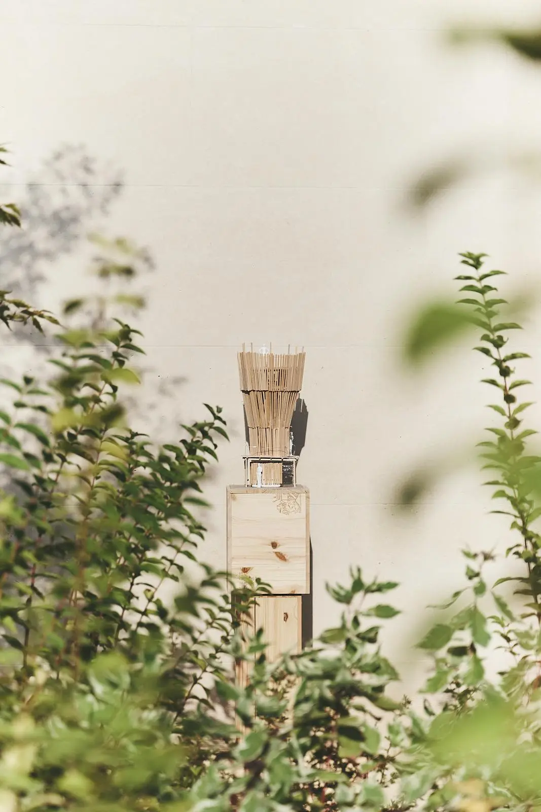 Ruinart X Tadashi Kawamata  Permenant Instalation Reims
