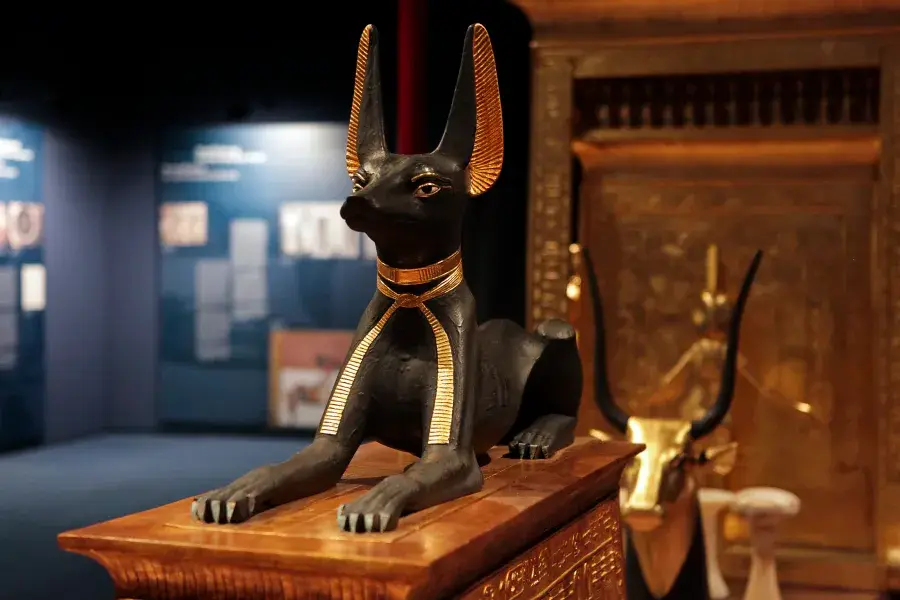 Treasures of Tutankhamun at DIVE, Antwerp
