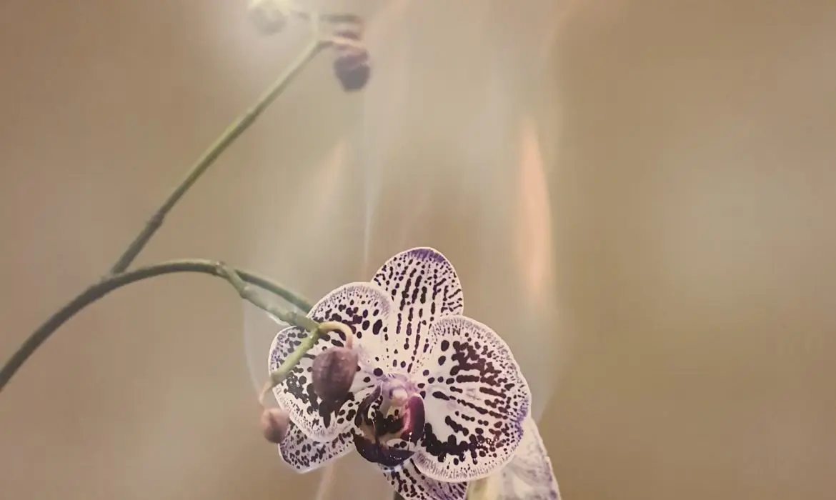 "Les Fleurs du Mal" Exhibition by Maison Guerlain