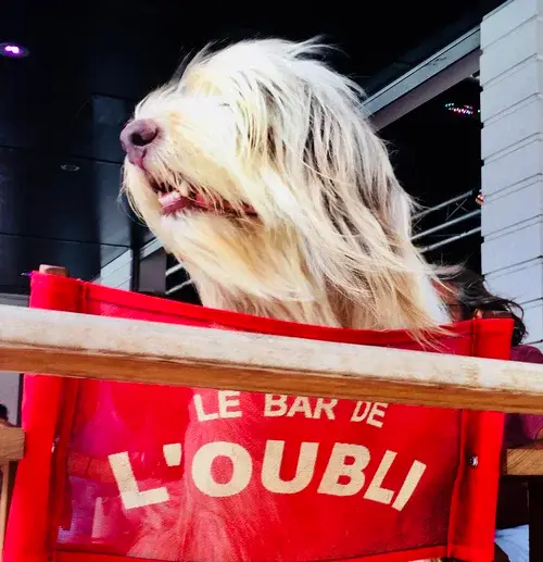 Bar de L’Oubli