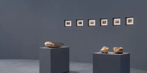 Miami Art Week 2026: Your Guide to Art Basel, Design Miami & the VIP Circuit