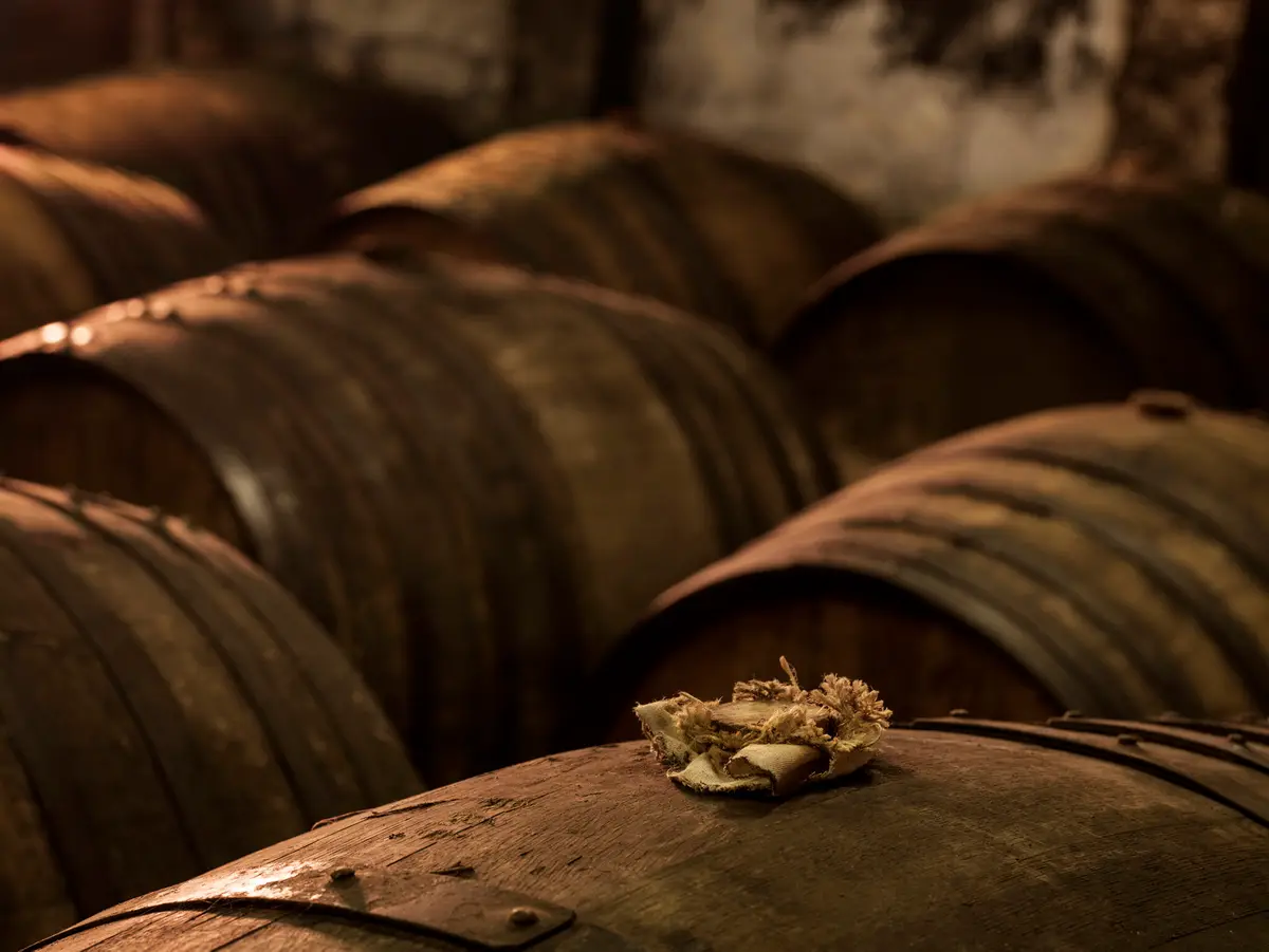 Camus Celebrates 50 Years With Chaîne des Rôtisseurs Through a Private Collection Cognac - Image 2