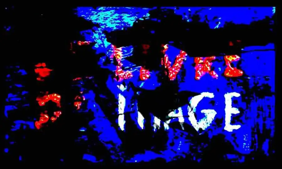 Jean Luc Godard'S The Image Book