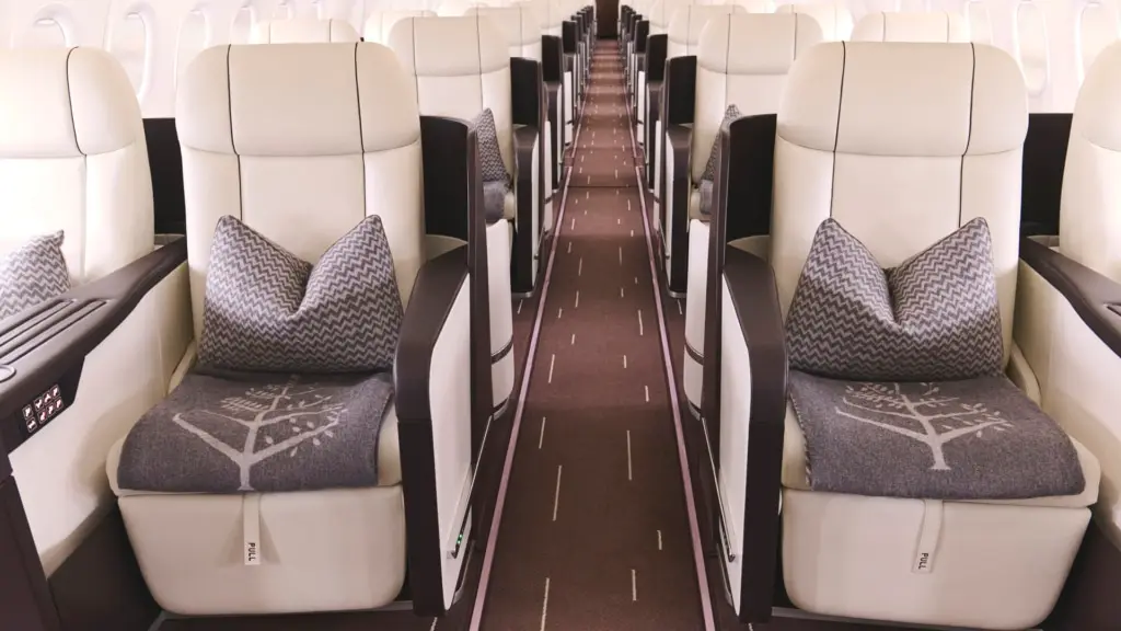 Jet Across the Globe with Four Seasons’ Exclusive 2026 Itineraries - The Jet Itself – A Flying Palace - Image 5