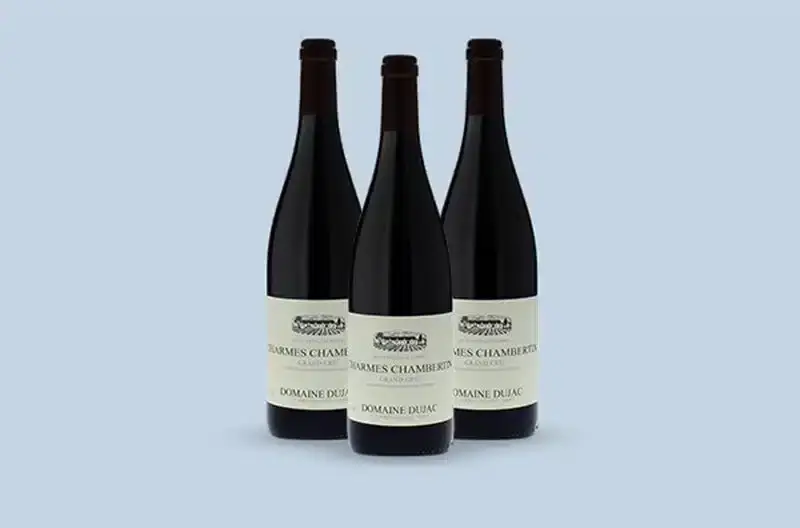 Burgundy Wine Tasting Tours Domaine Dujac Chambertin Grand Cru 2015, Côtes de Nuits