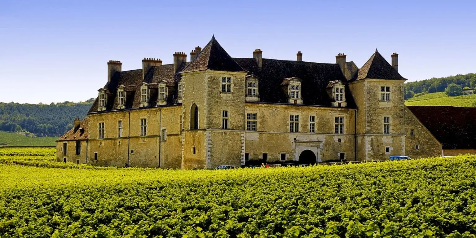 Burgundy Wine Tasting Tours