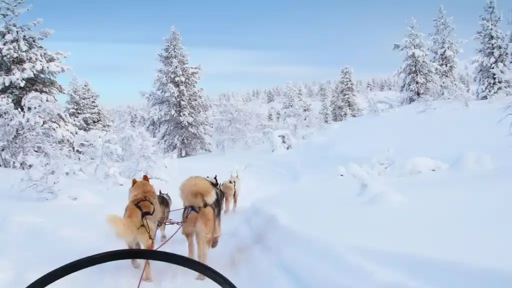Join Ferrari on Ice in Lapland this February for the Ultimate 48-Hour Adrenaline Experience - Image 4