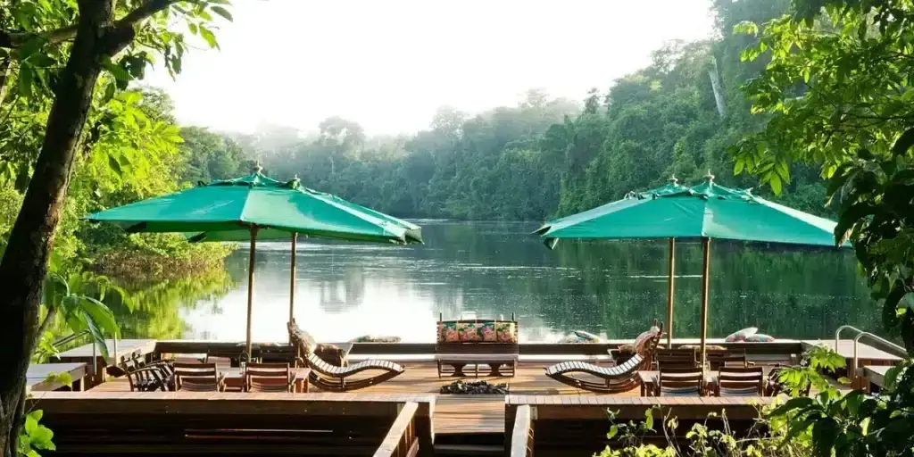 Beyond the Canopy: Finding Luxury and Wisdom at Brazil's Cristalino Lodge - Image 3